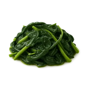 Cicoria