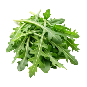 Rucola